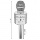 eng_pl_Wireless-Microphone-Karaoke-Bluetooth-Speaker-4-Silver-8997-13865_2