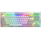 hator-gravity-tkl-aurum-orange-linear-rev20-htk561ua-white